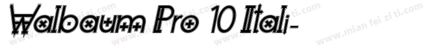 Walbaum Pro 10 Itali字体转换
